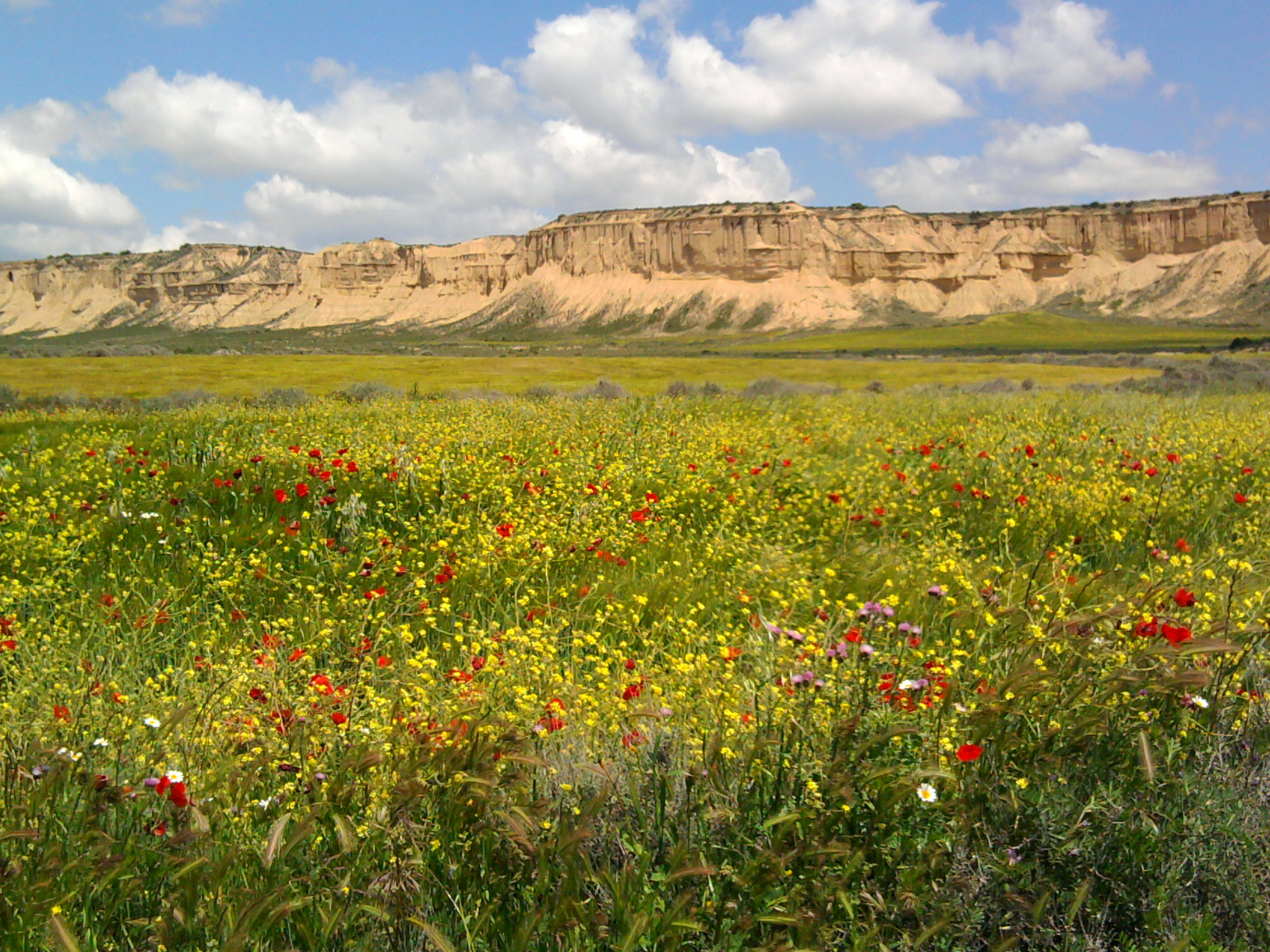 foto de la primavera